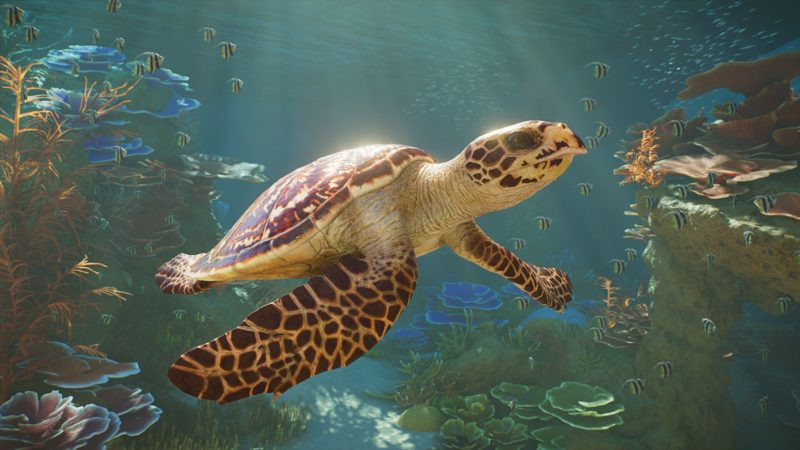 Planet Zoo 2 на PS5, скриншот